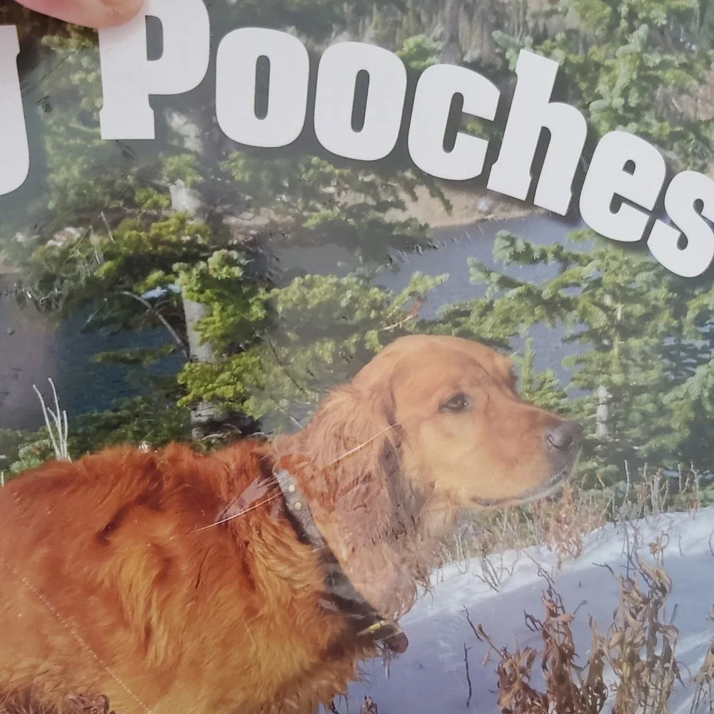 Pooping Pooches 2026 Wall Calendar Funny Dog Gag Gift White Elephant Humor